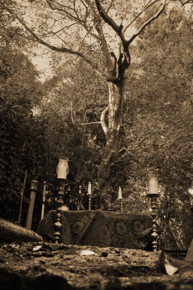 Altar-Ground-HDR-Vert-Sepia-1920_1419045614